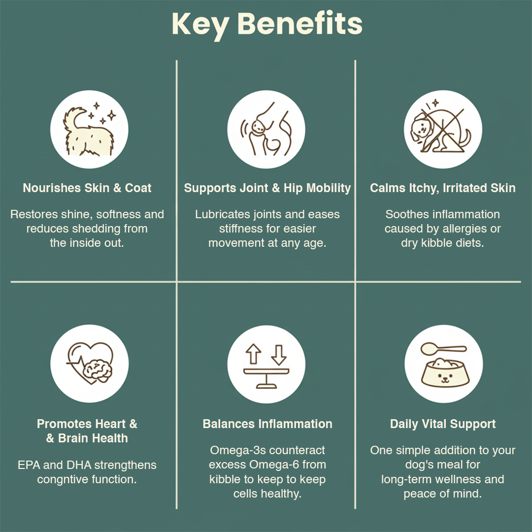 GoodlySupps Omega - Dog Care Food