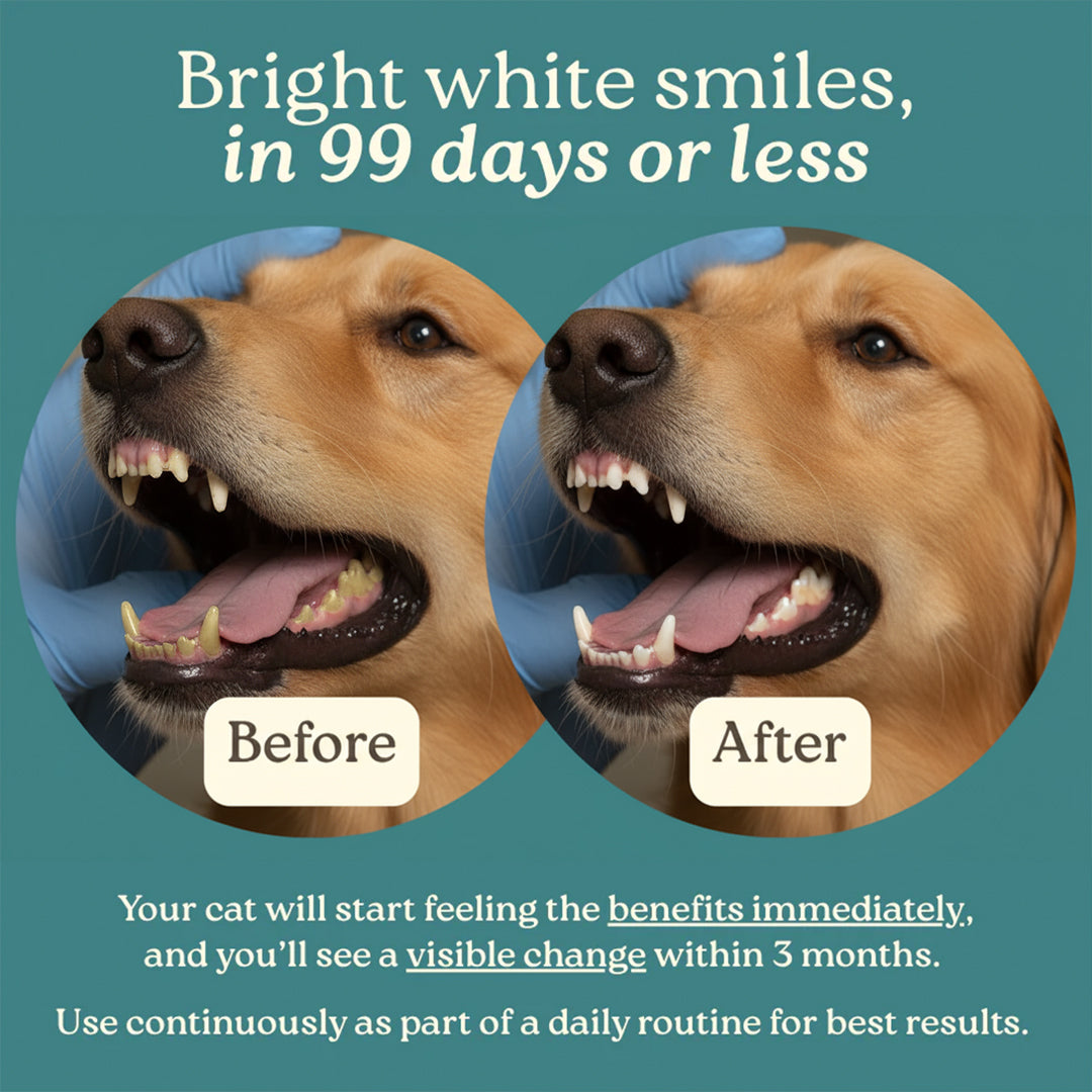 PawDenta - Vet Approved Teeth Cleaning Formula