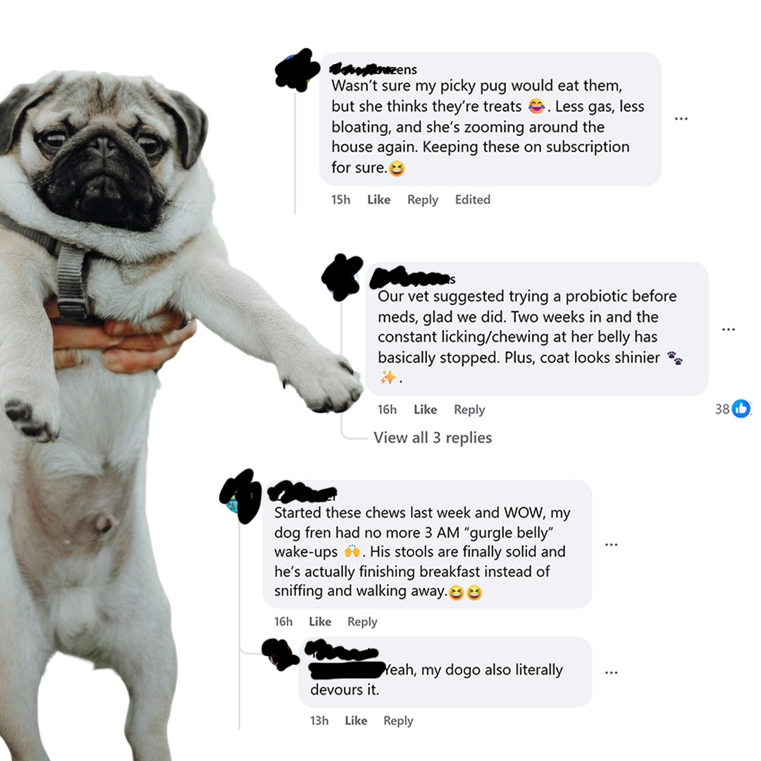 GoodlySupps PawBiota