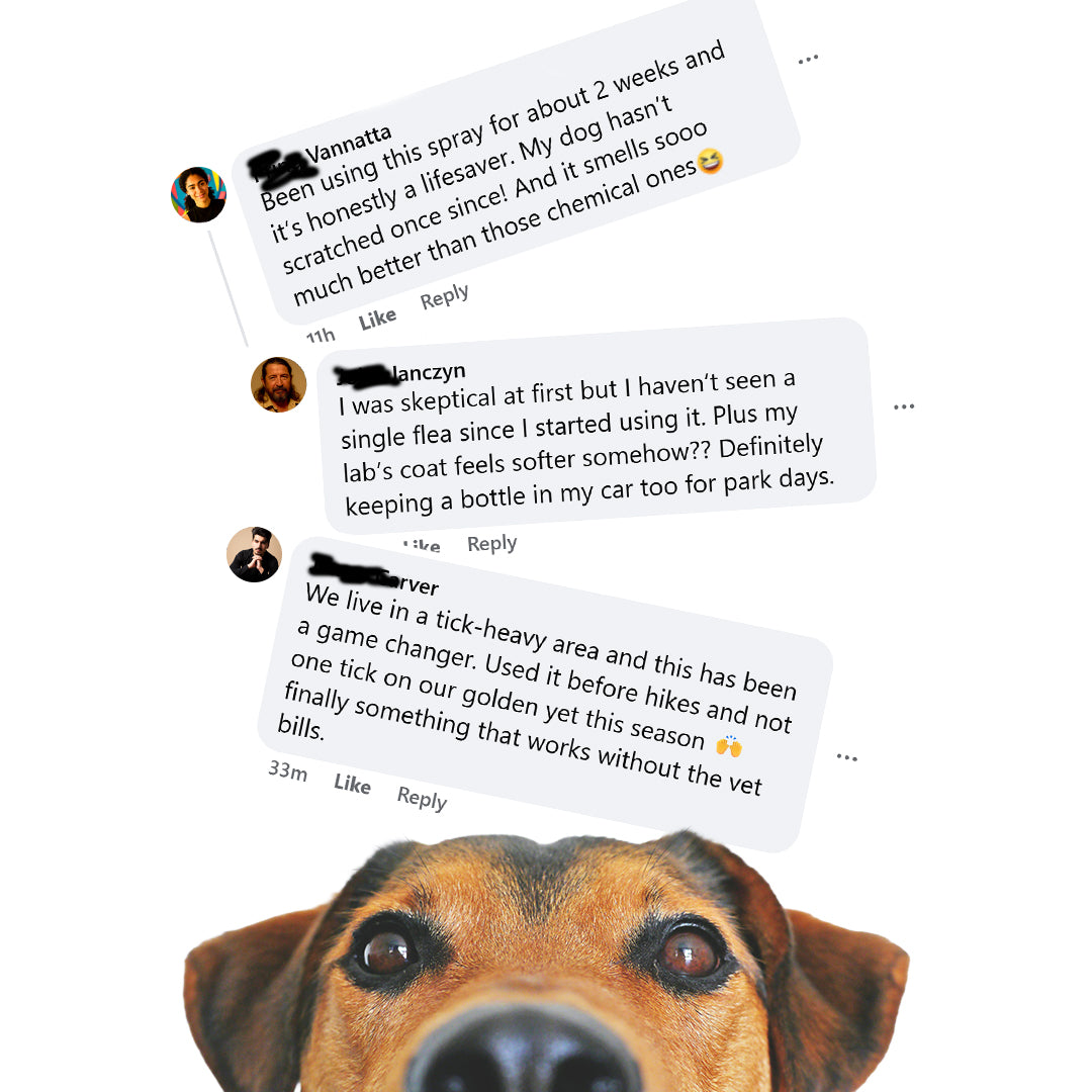 GoodlySupps Flea & Tick Spray