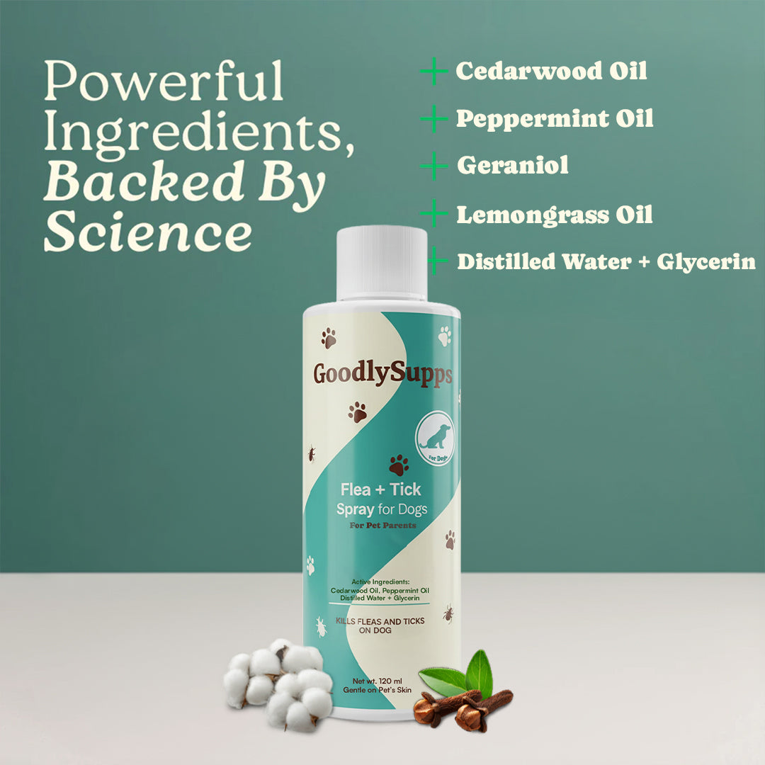 GoodlySupps Flea & Tick Spray