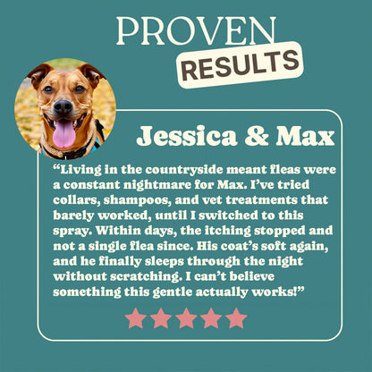 GoodlySupps Flea & Tick Spray